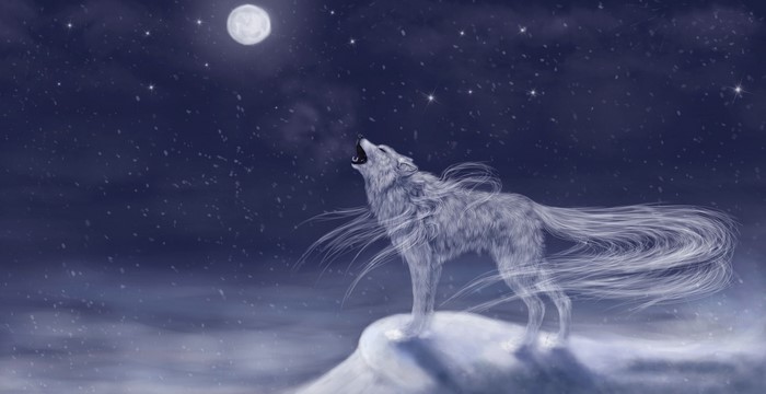 Ghostly wolf howling at the moon in a snowy night