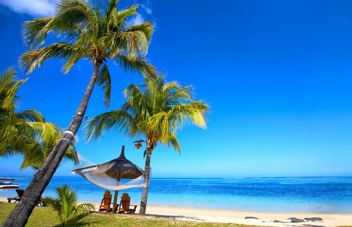 4K Tropical Beach with Palm Trees and Hammock