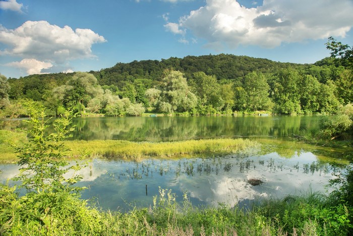 Lake and forest in Bavaria, Germany during summer