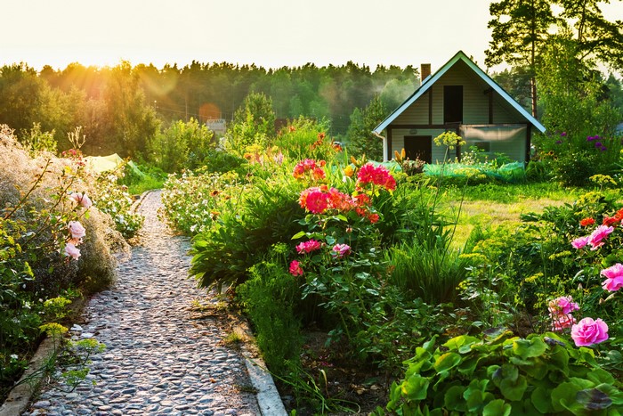 A cobblestone path winds through a vibrant garden with roses and a house.