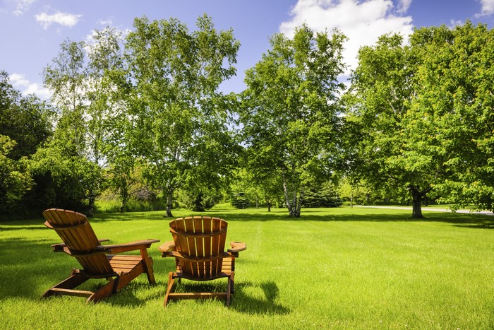 Two Adirondack chairs on a sunny lawn with trees