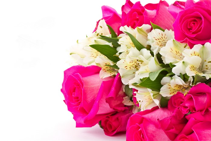 Bright Pink Roses and White Alstroemeria Flowers