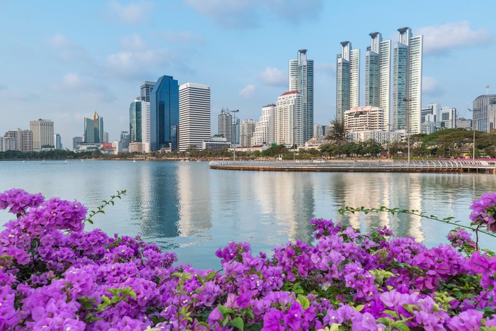 Bangkok skyline with lake and flowers