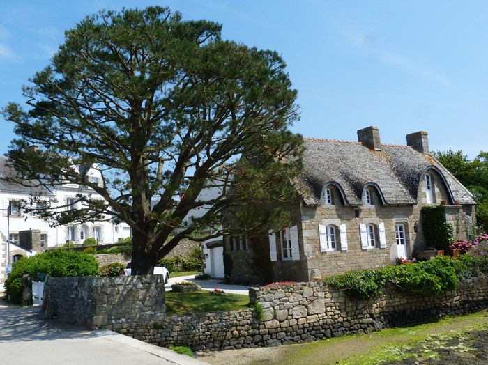 Stone house with thatched roof and large tree in Locoal-Mendon, France