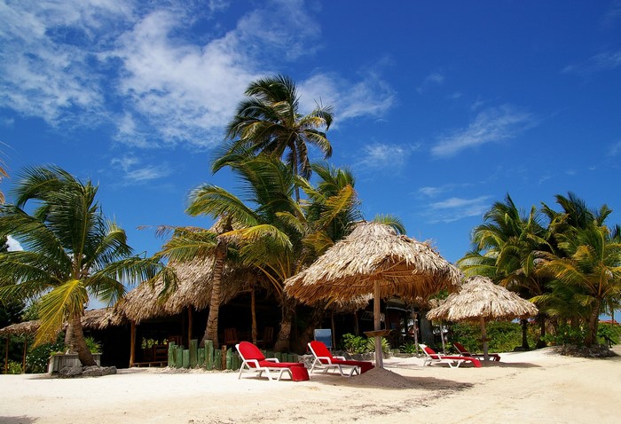 Tropical beach with palm trees, bungalows, and sun loungers