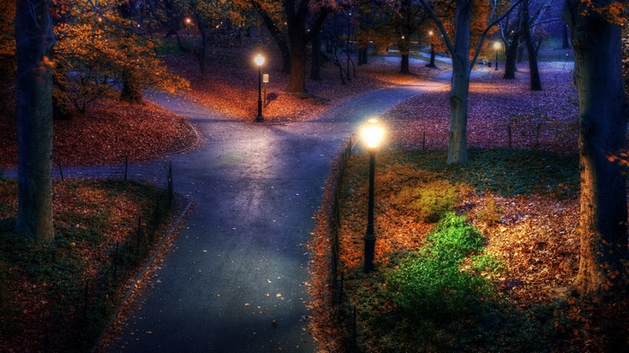 Park path at night with autumn leaves and lampposts