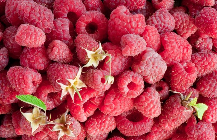 A pile of fresh raspberries