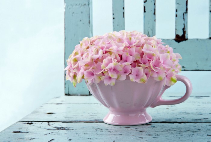 Pink Hydrangeas in a Pink Cup