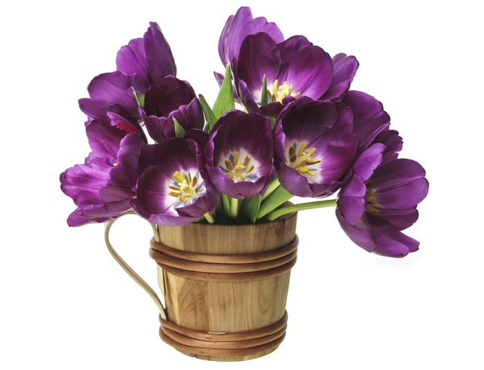 Purple tulips in a wooden bucket