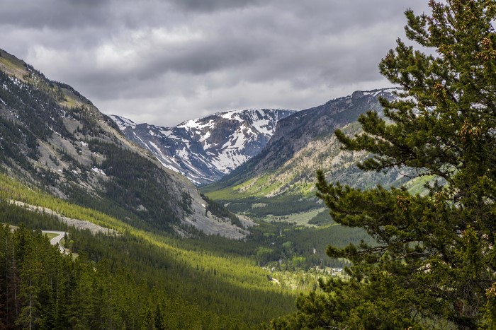 Valley with snow-capped mountains and pine trees in Montana, USA