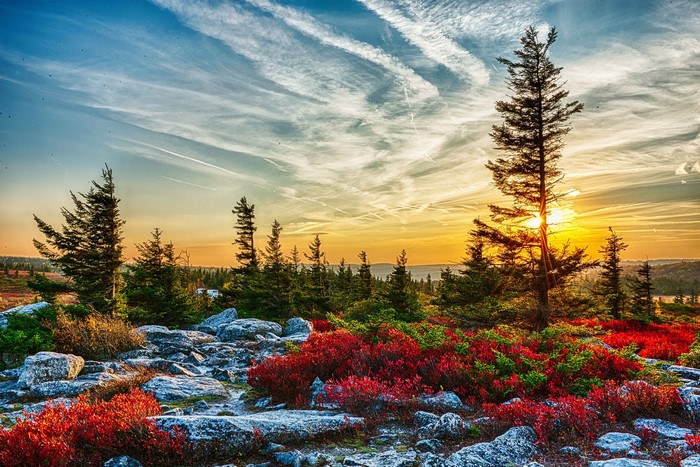 Sunset over Dolly Sods Wilderness, West Virginia