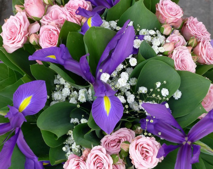 Bouquet of pink roses and purple irises