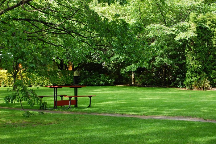 Park with picnic table and benches on a lawn