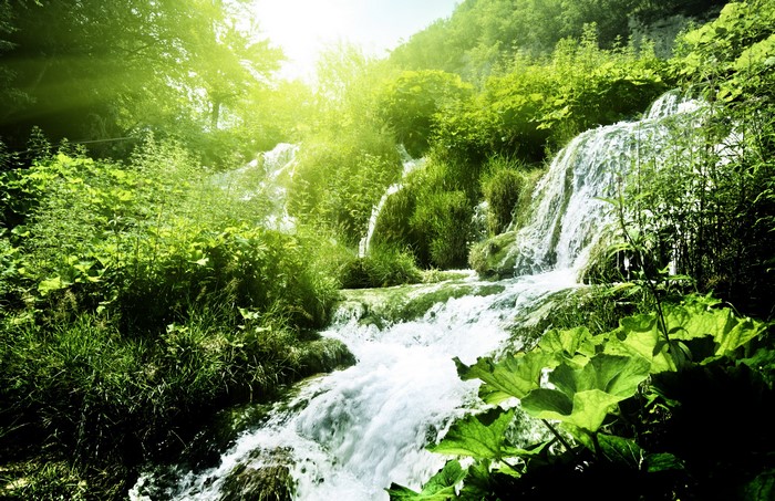 Waterfalls in a lush green forest with sunlight