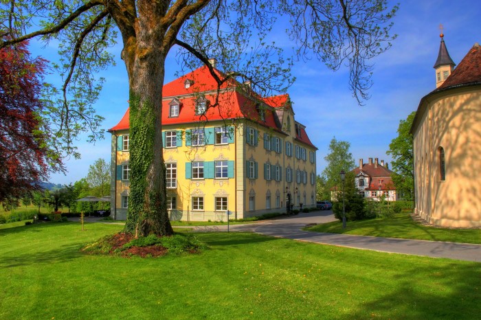 Neutrauchburg Castle in Germany with a large tree