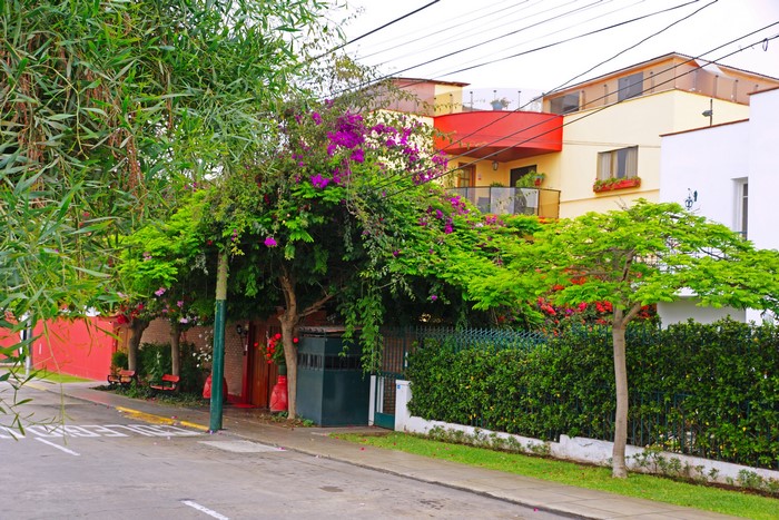 Street view of houses and trees in Lima, Peru