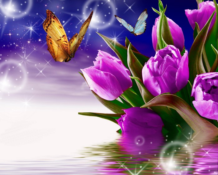 Purple Tulips and Butterflies with Starry Sky