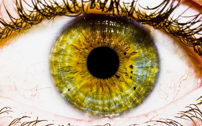 Extreme Closeup of a Human Eye