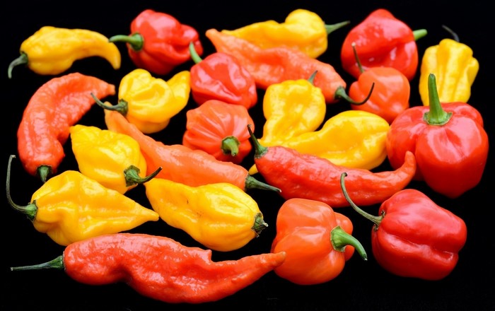 Assortment of colorful hot peppers on black background