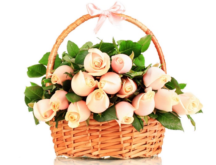 Basket of light pink roses with a bow