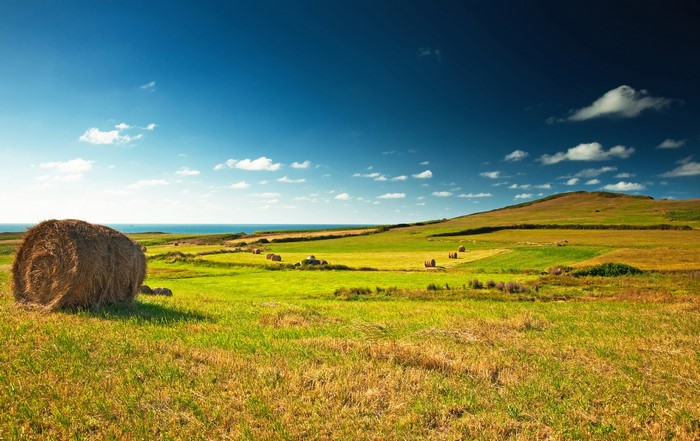 Hay bales in a green field with the ocean in the background