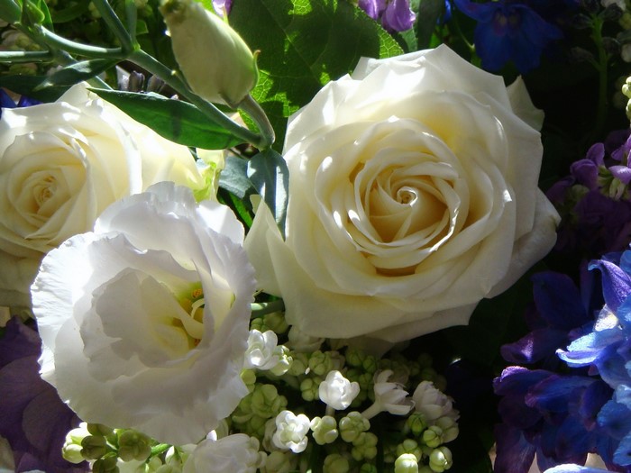 White roses and purple flowers bouquet