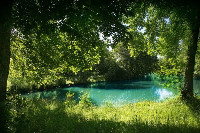 River in a green forest in Bavaria, Germany