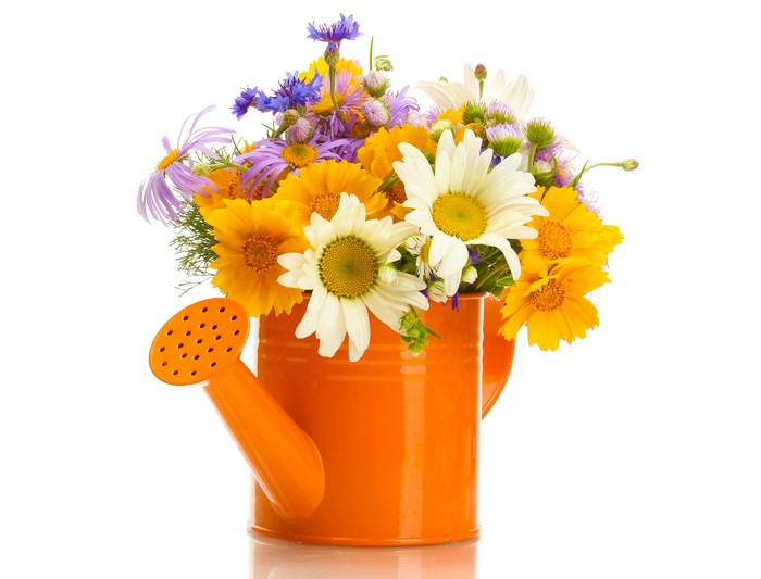 Bouquet of wildflowers in an orange watering can