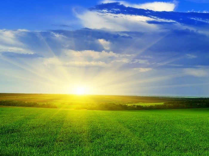 Sunrise over a green field with sun rays