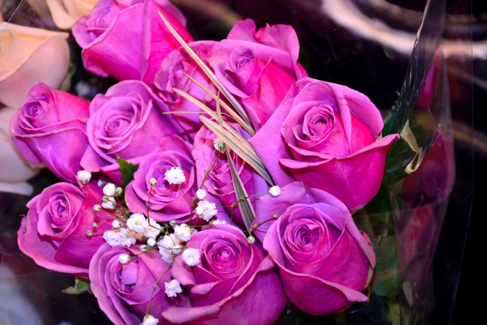Bouquet of pink and violet roses with baby's breath
