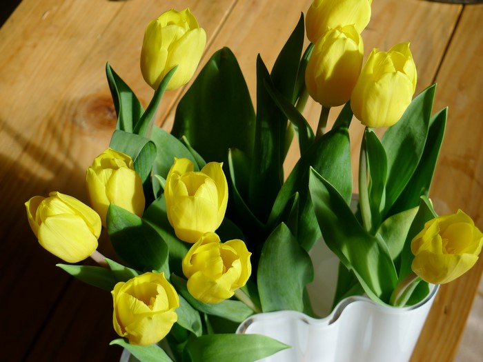 Yellow tulips in a white vase on a wooden surface