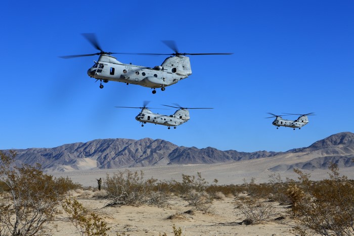 Boeing Vertol CH-46 Helicopters in Flight