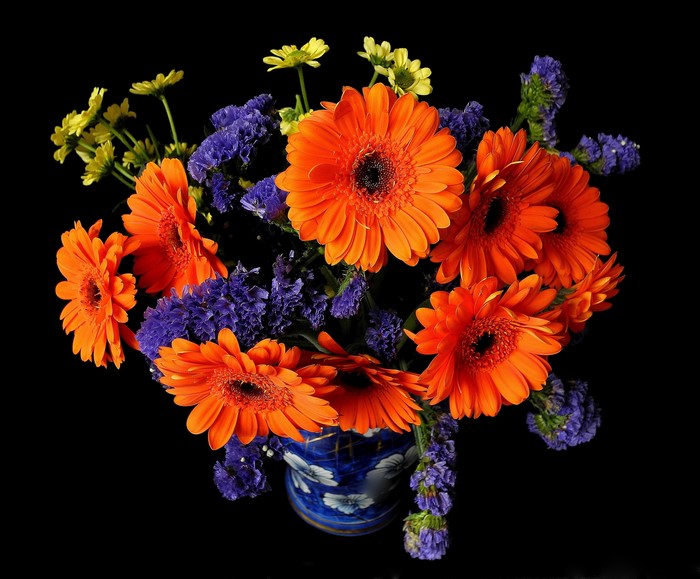 Orange Gerbera Daisies and Purple Statice in a Blue and White Vase