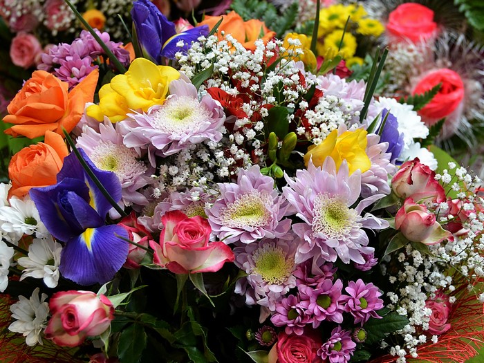Bouquet of Chrysanthemums, Irises, and Freesias