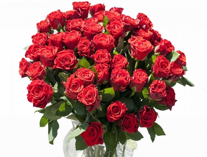 Bouquet of red roses in a vase