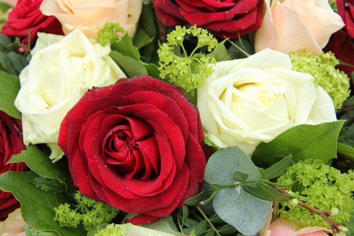 Red and White Roses Bouquet