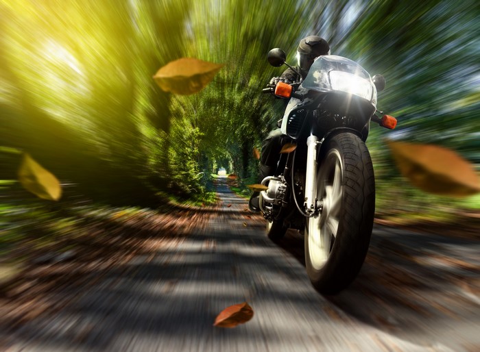 Motorcyclist riding on a tree-lined road with falling leaves