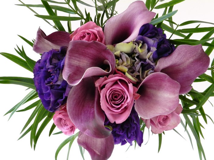 Purple and pink calla lilies and roses bouquet