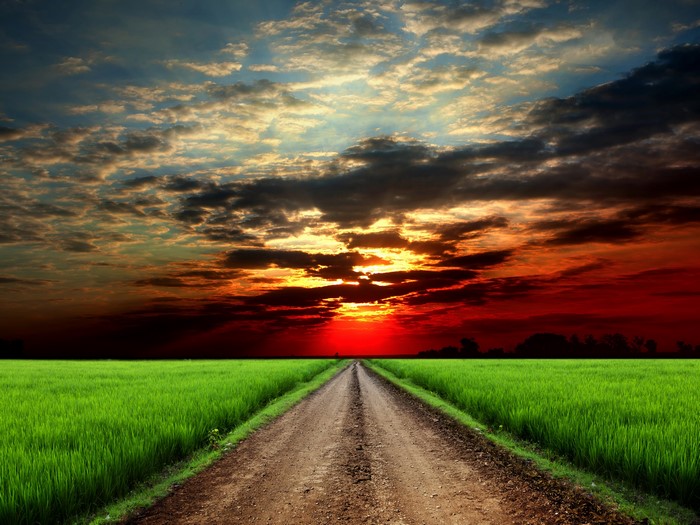 Dirt road through a green field at sunset