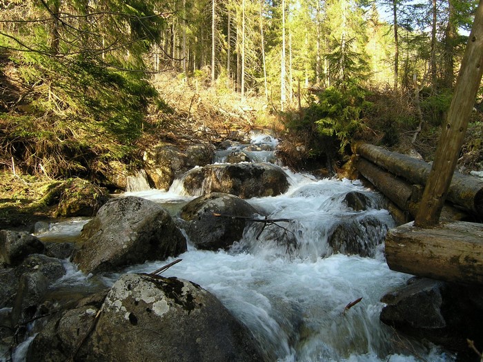 Mountain stream flowing over rocks in a forest in Slovakia
