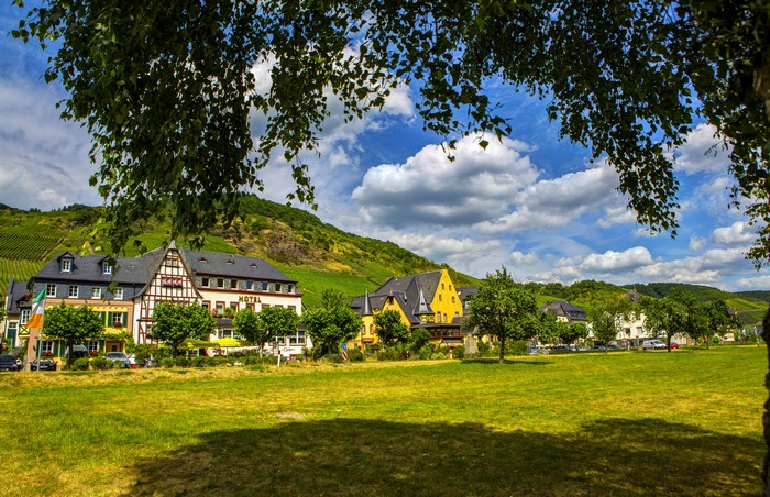 Hotel in Ediger-Eller, Germany with Vineyards