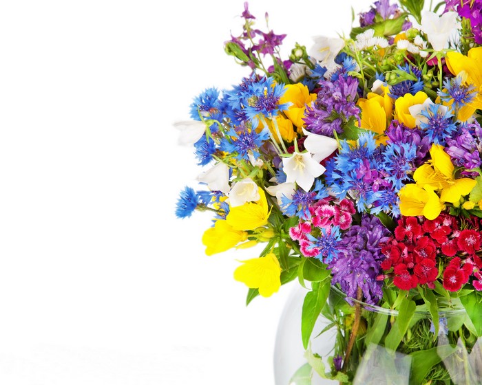 Vibrant Colorful Bouquet with Cornflowers and Carnations