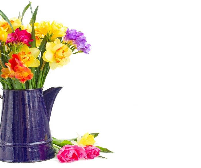 Colorful spring flowers in a blue pitcher