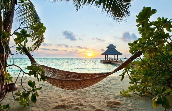 Hammock on a tropical beach at sunset