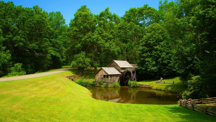Old mill by a pond surrounded by trees