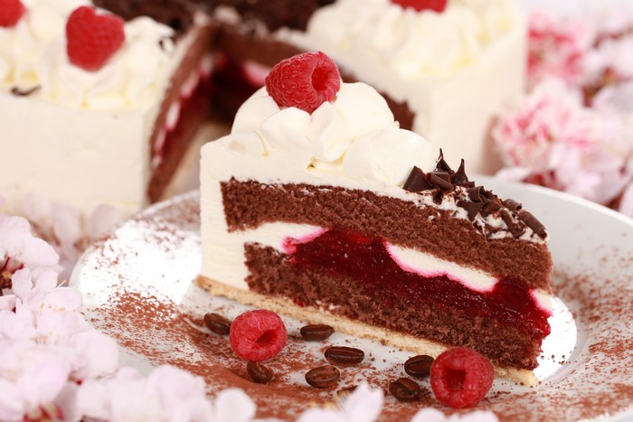 Chocolate Raspberry Cake Slice with Raspberries and Coffee Beans