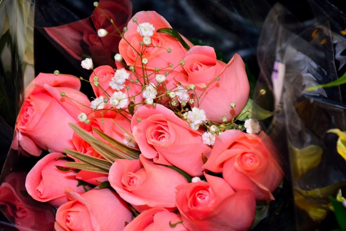 Bouquet of pink roses with baby's breath