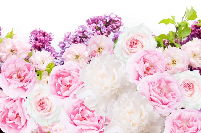 Pink and white roses and purple lilacs