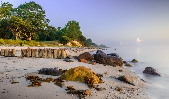 Sandy beach with rocks and trees at sunrise