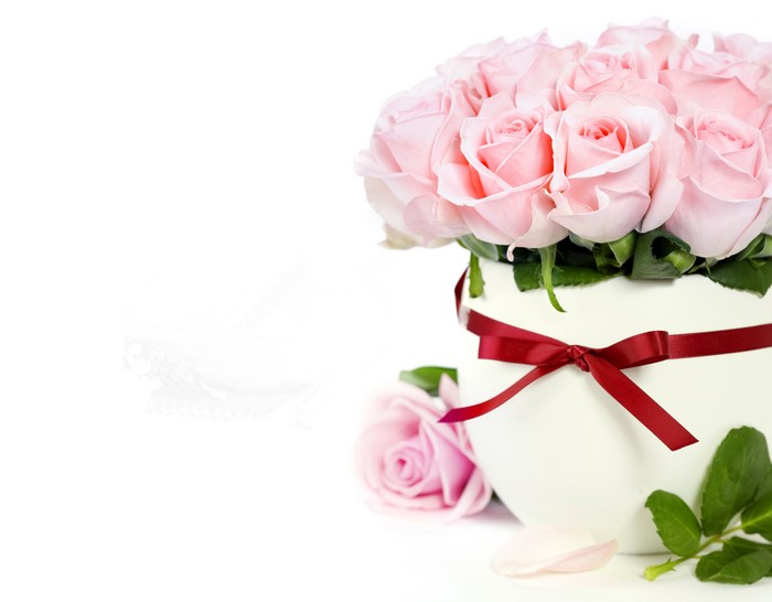 Pink roses in a vase with a red bow